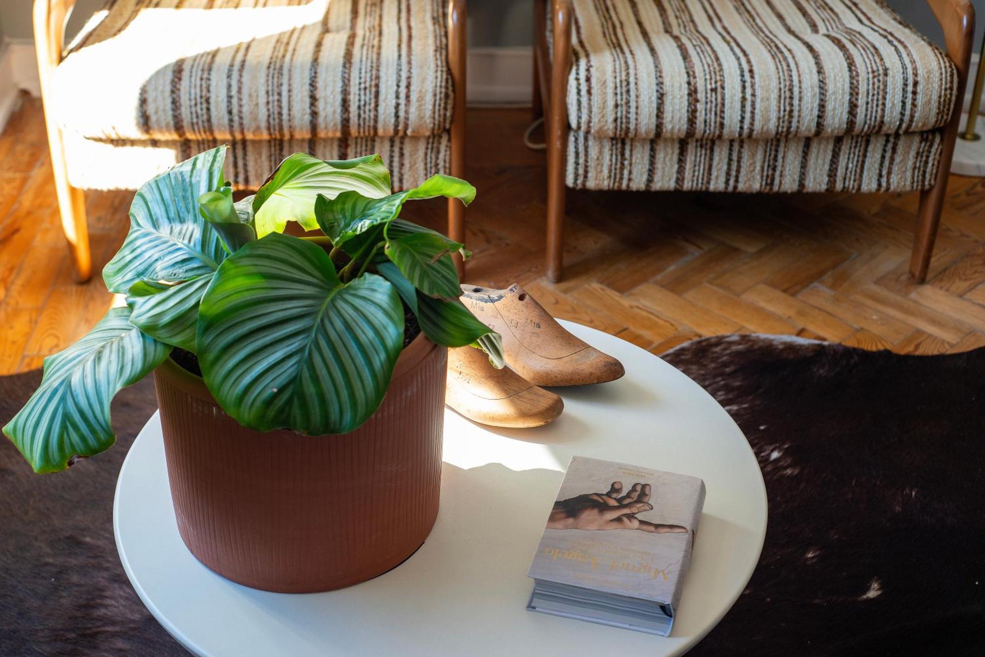 Graca - Castle | Lisbon Cheese & Wine Apartments Ngoại thất bức ảnh